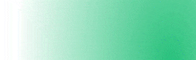 CANALE TELEGRAM