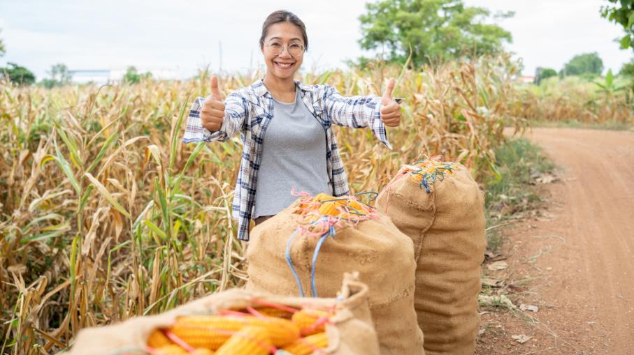 Novità per il tema agribusiness