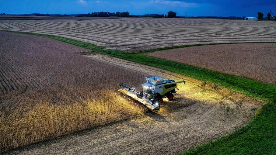 Futures Soybean Meal: quali sono, come funzionano e cosa sapere