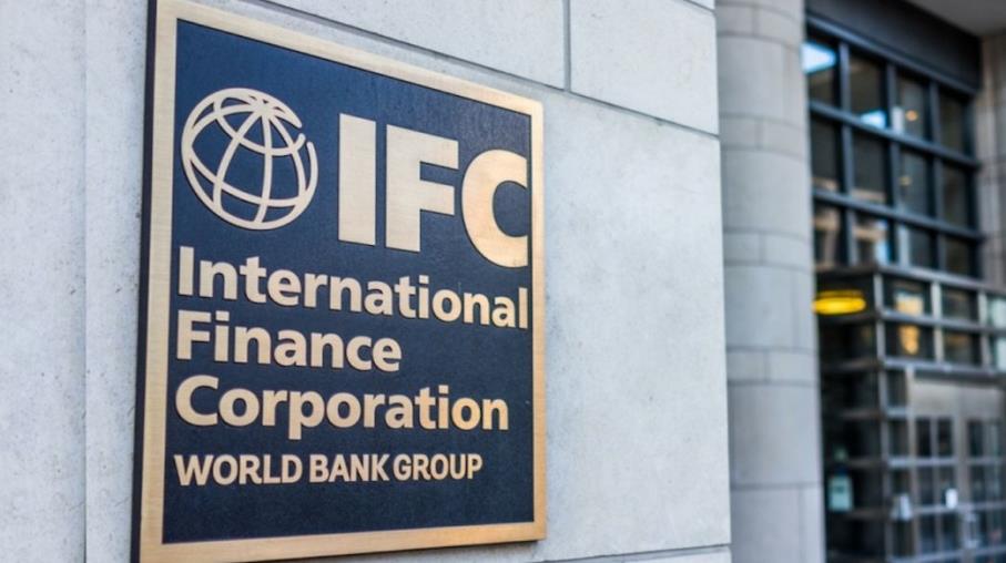 Società Finanziaria Internazionale: obiettivi e caratteristiche