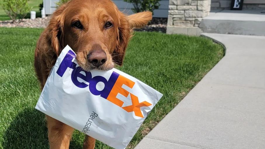 Stretta sulle spedizioni: BofA taglia i giudizi su UPS e FedEx