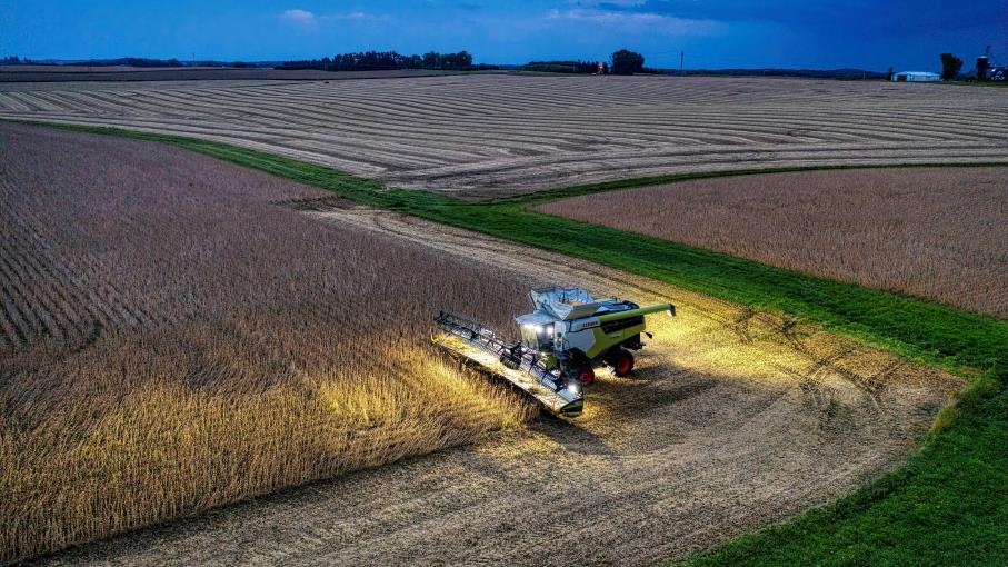 Olio di soia: ecco i primi 10 Paesi produttori