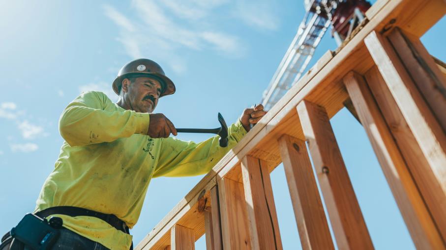 Future Lumber: cos’è, come funziona e cosa sapere