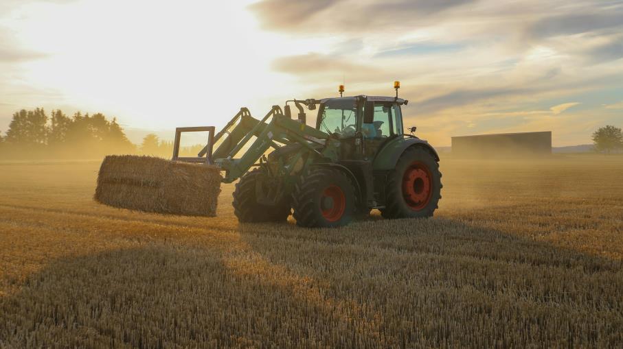Materie prime e commodity: ecco le differenze