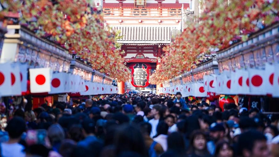 Giappone, Eco Watchers Survey: cos’è e perché è importante