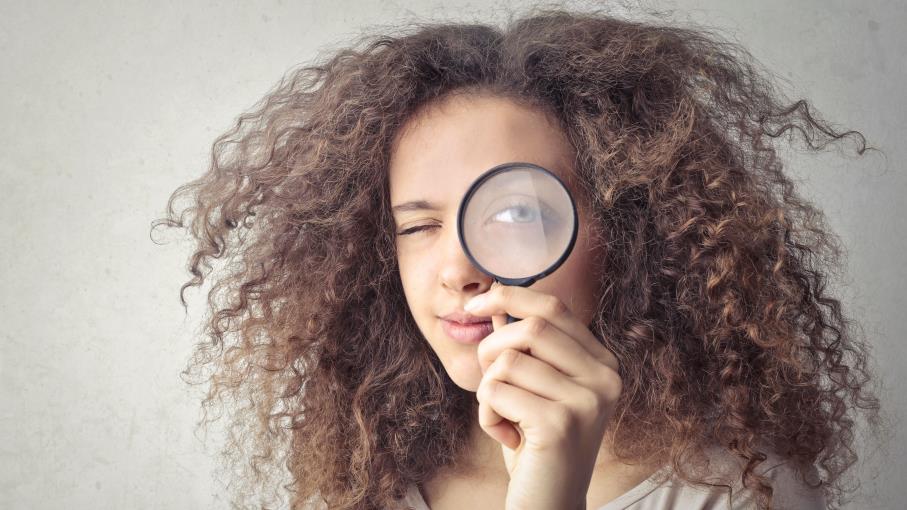Come si legge la scheda di un certificato: guida alle voci