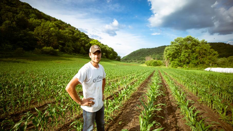 La guerra e il clima: perché investire nelle commodity agricole
