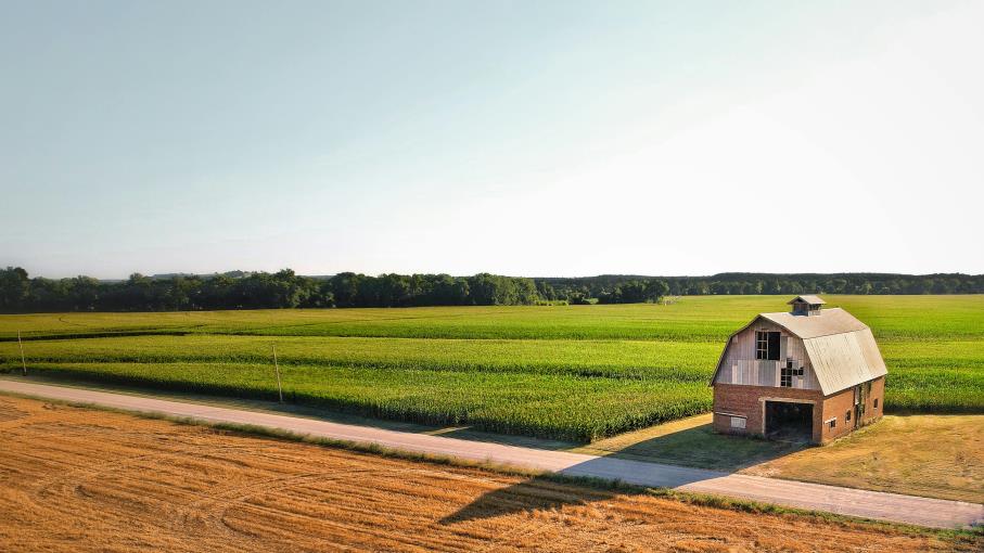 Futures KC HRW Wheat: quali sono, come funzionano e cosa sapere