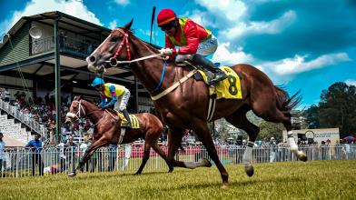 Forex, chi vince e chi perde nel 2025