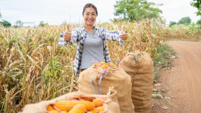 Novità per il tema agribusiness
