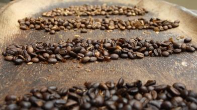 Materie prime: 3 motivi per cui prezzo caffè è ai top da 10 anni