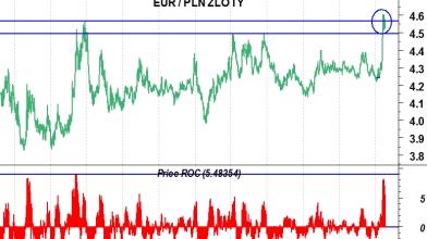Forex: Zloty polacco, un emergente per modo di dire