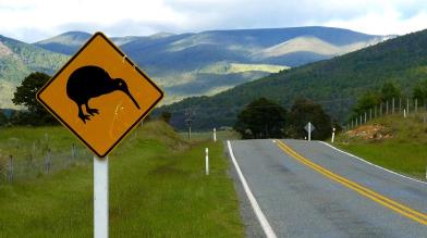 Forex: Dollaro Neozelandese, i ribassi non si fermano