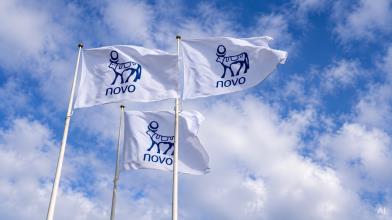 Novo Nordisk cambia pelle: per fermare la corsa di Lilly nasce Novo