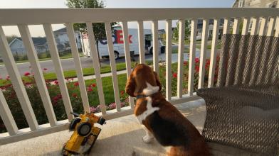 FedEx, attesa per la trimestrale: cosa aspettarsi sul titolo