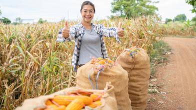 Mais: ecco chi sono i principali 10 Paesi produttori