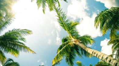 Bilancio ETF mese di agosto, i mercati azionari consolidano