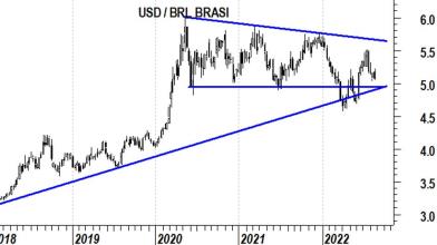 Real in focus mentre frena inflazione in Brasile, ecco cosa aspettarsi