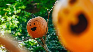 Bilancio Forex del mese di ottobre