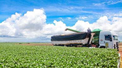 Futures Soybean Oil: quali sono, come funzionano e cosa sapere